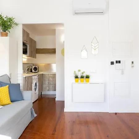 Great 1 Bdr Flat With Air Condicioner!